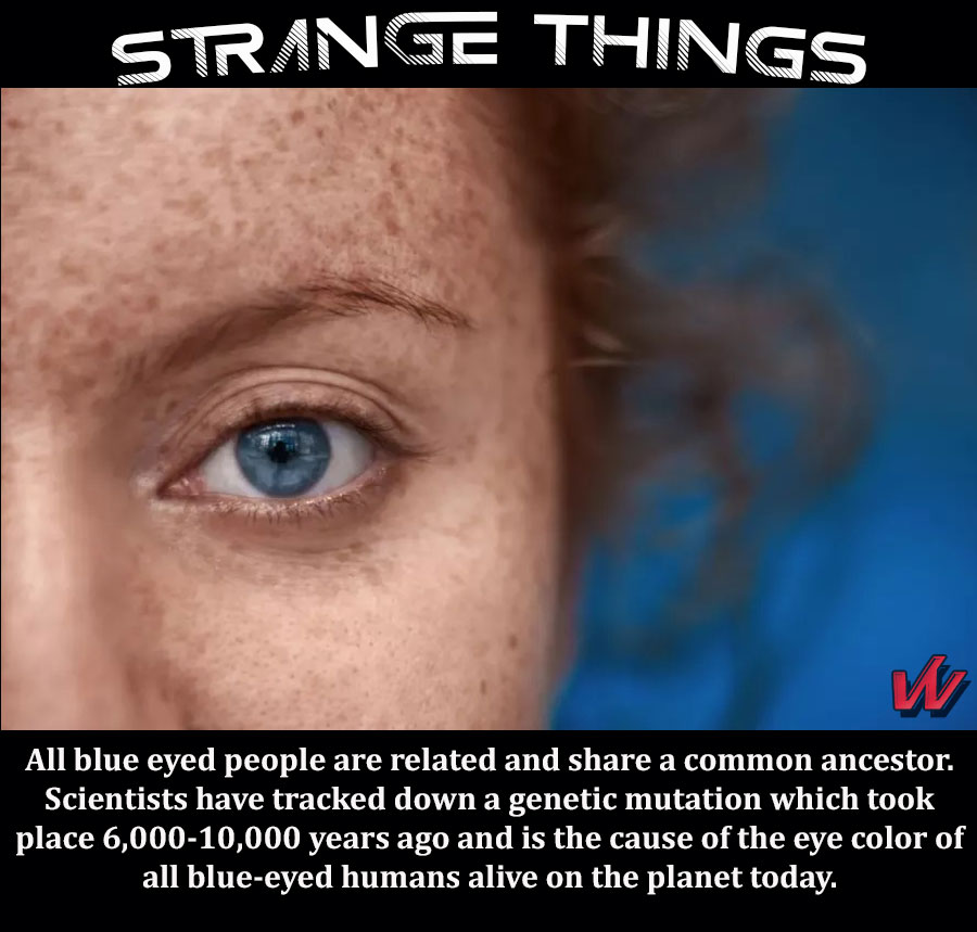 blue eyed people