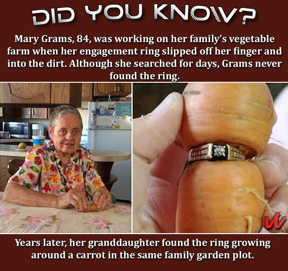 1 carrot ring random facts