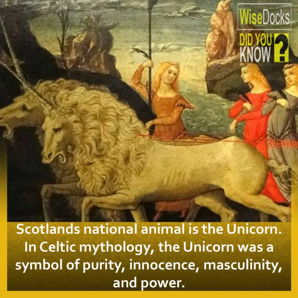 Scotland's national animal is the unicorn